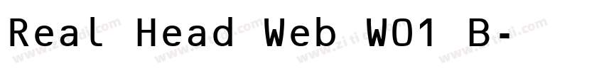 Real Head Web W01 B字体转换